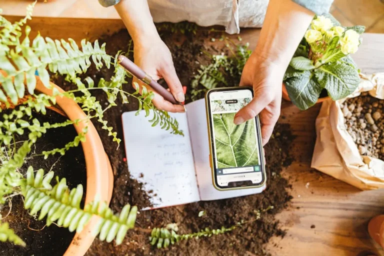 DIY Garden Decor Ideas for Beginners